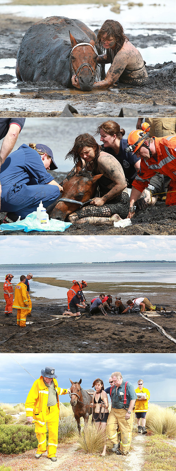 PADMAG@新浪微博 近期精选(030512) 新浪微博 近期精选(030512)