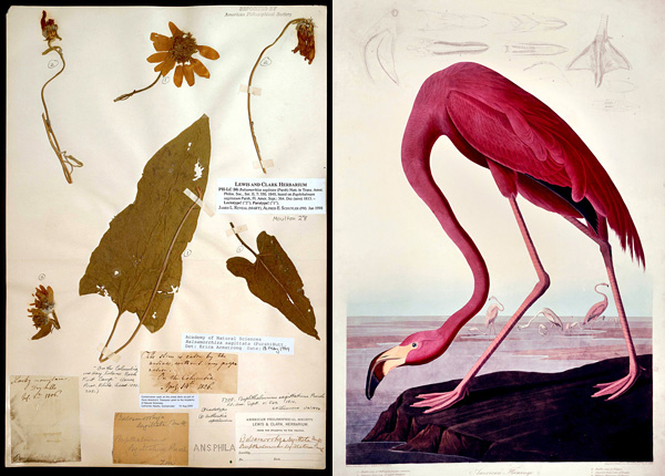 德雷克塞尔大学自然科学博物馆纪念画册 德雷克塞尔大学自然科学博物馆纪念画册