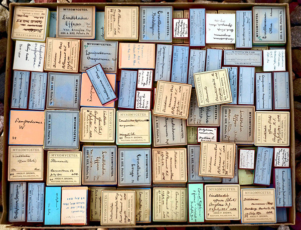 德雷克塞尔大学自然科学博物馆纪念画册 德雷克塞尔大学自然科学博物馆纪念画册