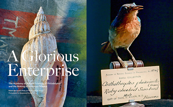 德雷克塞尔大学自然科学博物馆纪念画册 德雷克塞尔大学自然科学博物馆纪念画册