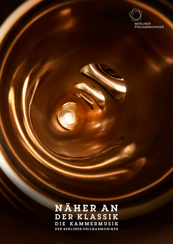 Bjoern Ewers摄影作品：乐器内部