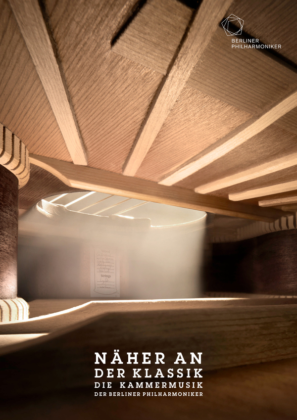 Bjoern Ewers摄影作品：乐器内部