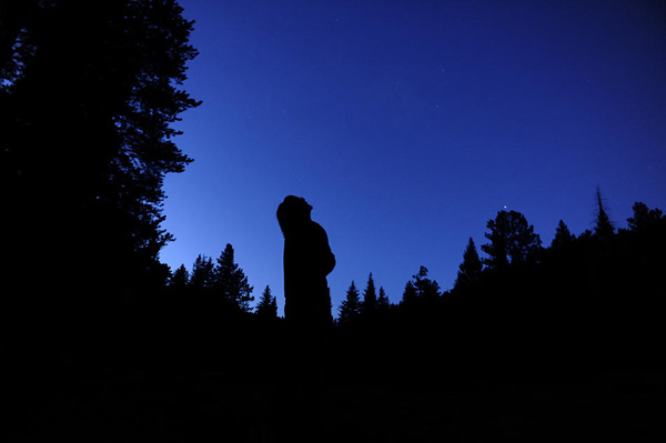 欢迎回家：Scott Ostrom的故事