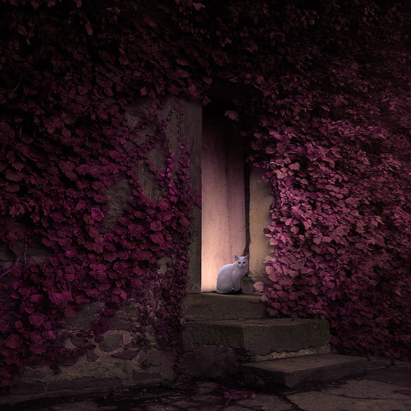 新浪微博 近期精选(022025)