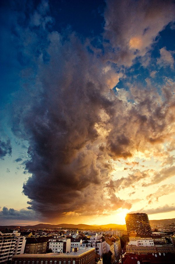 新浪微博 近期精选(022712)