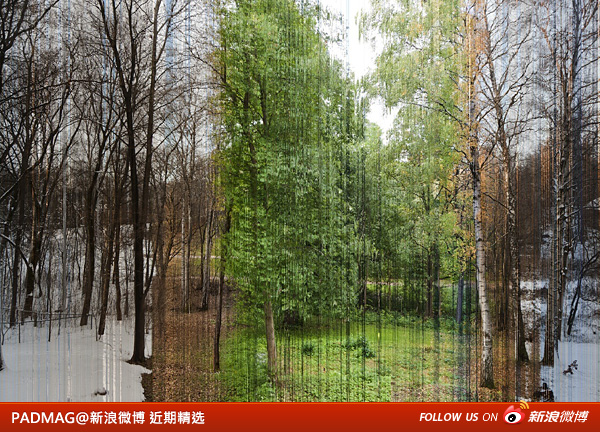 PADMAG@新浪微博 近期精选(022712) 新浪微博 近期精选(022712)