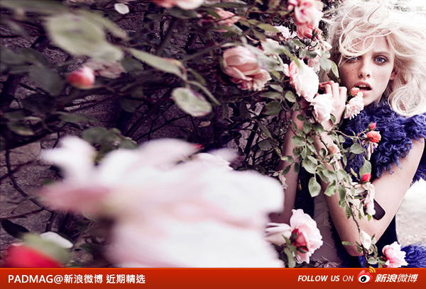 PADMAG@新浪微博 近期精选(020612) 新浪微博 近期精选(020612)