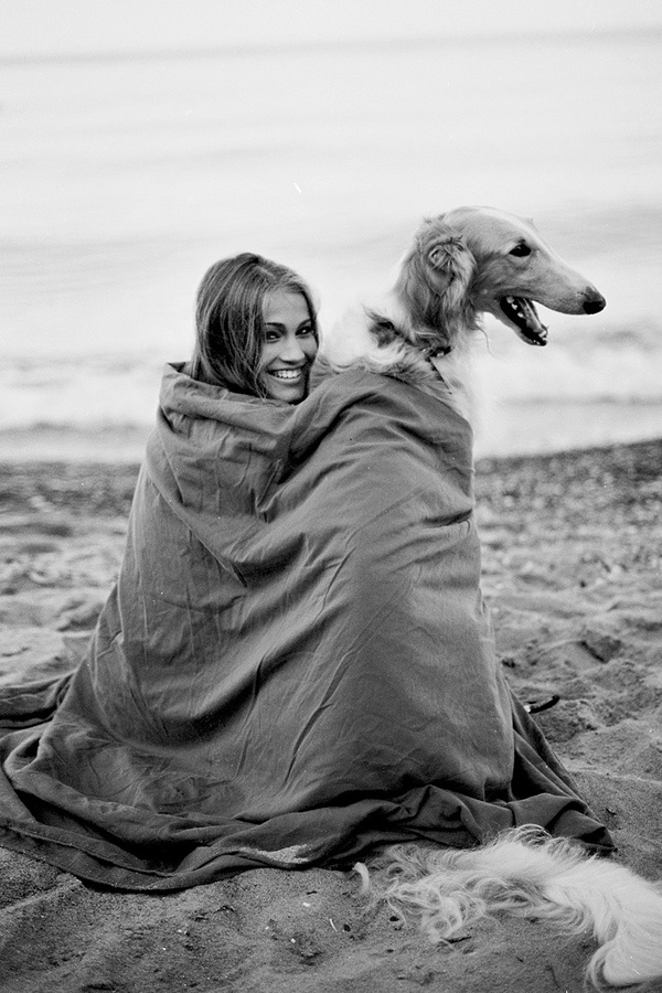 PADMAG@新浪微博 近期精选(020612) 新浪微博 近期精选(020612)