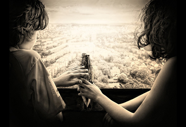 PADMAG@新浪微博 近期精选(021312) 新浪微博 近期精选(021312)