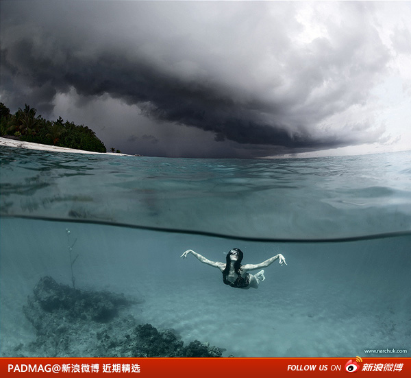 PADMAG@新浪微博 近期精选(010411) 新浪微博 近期精选(010412)