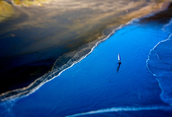 PADMAG@新浪微博 近期精选(011512) 新浪微博 近期精选(011512)