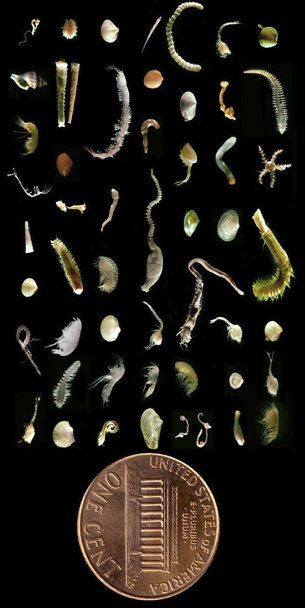 新浪微博 近期精选(011512)