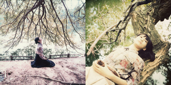 RICOR摄影新作：Magnolia