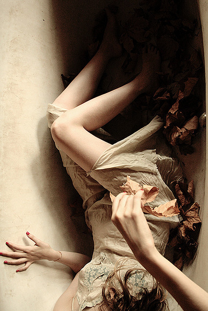 新浪微博 近期精选(120511)