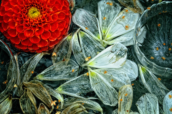 新浪微博 近期精选(120511)