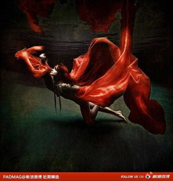 新浪微博 近期精选(121211)