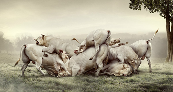 Koen Demuynck摄影及图像后期新作