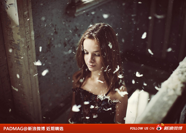 PADMAG@新浪微博 近期精选(111311) 新浪微博 近期精选(111311)