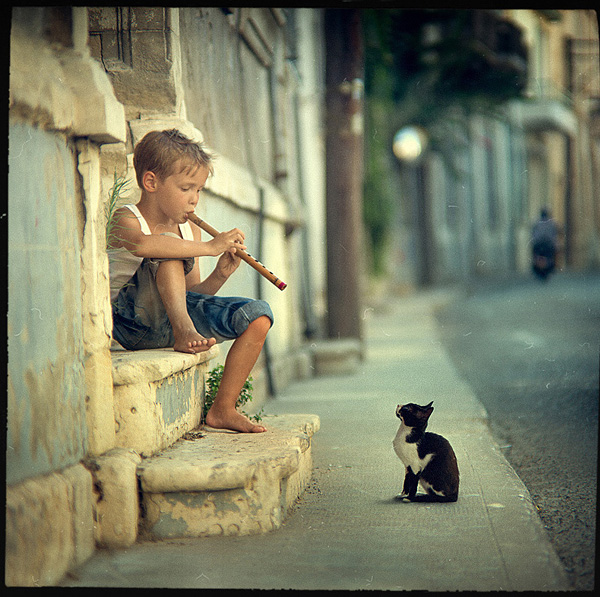 PADMAG@新浪微博 近期精选(111311) 新浪微博 近期精选(111311)