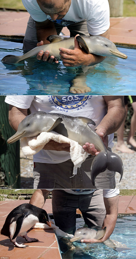 新浪微博 近期精选(102311)