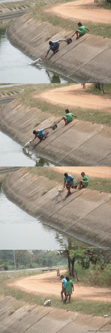 新浪微博 近期精选(092411)