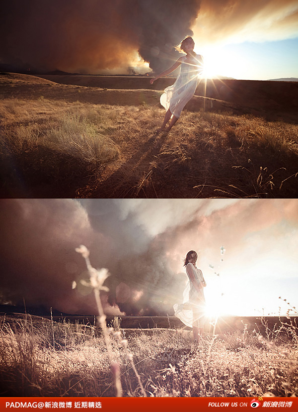 PADMAG@新浪微博 近期精选(092411) 新浪微博 近期精选(092411)