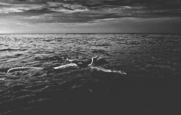 David Terrazas摄影作品