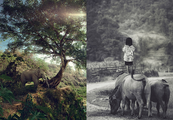 David Terrazas摄影作品