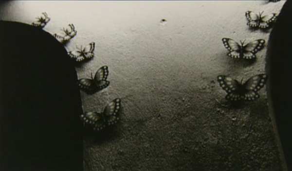 电影《生于妓院:加尔各答红灯区的孩子们》 电影《生于妓院:加尔各答红灯区的孩子们》