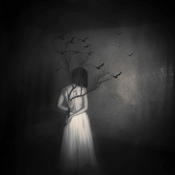 斯灵美摄影作品