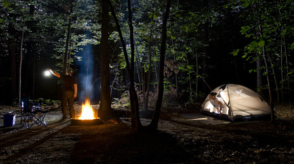 Stewart Isbell摄影作品：悄悄的他们来了