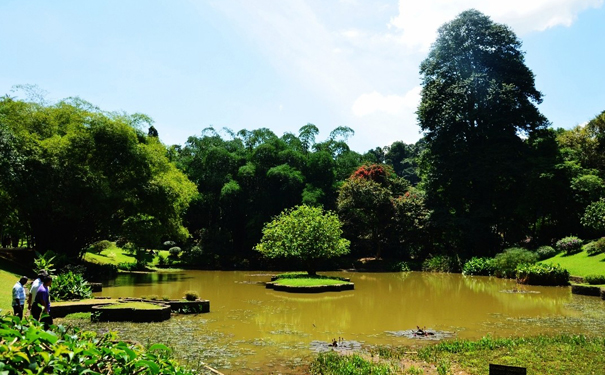 斯里兰卡蜜月旅行 特色景点带你领略异国风情