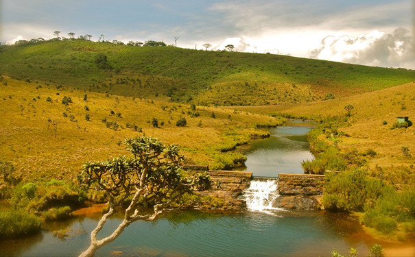 斯里兰卡蜜月旅行 特色景点带你领略异国风情