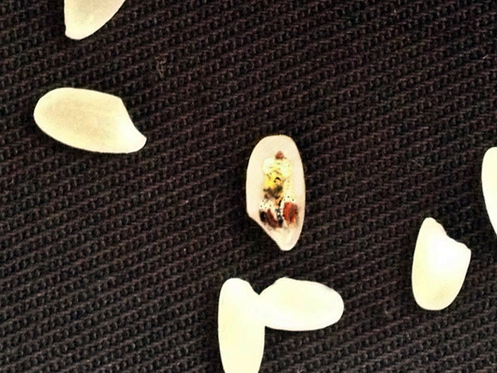 10个微型物体的绘画作品欣赏