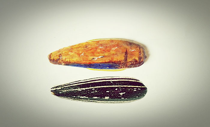 10个微型物体的绘画作品欣赏