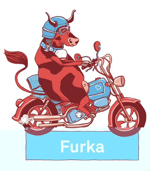 Atelier Flora插画设计作品