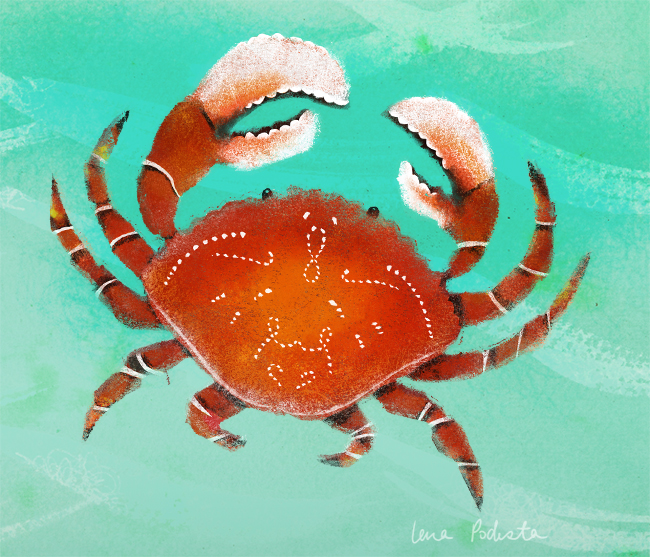 Lena Podesta儿童插画