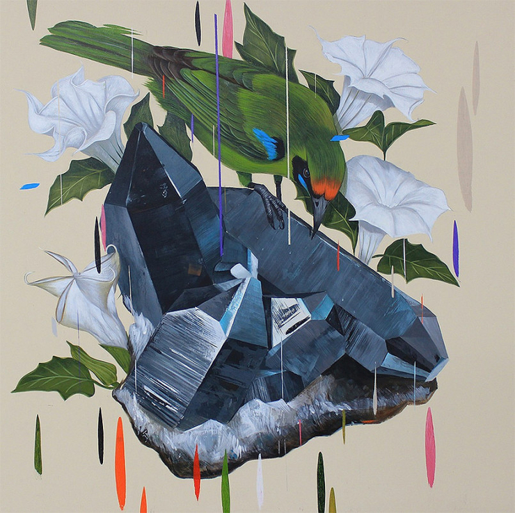 超惊艳的鸟类插画