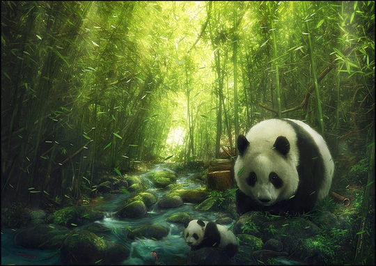 Tiago da Silva游戏角色插画