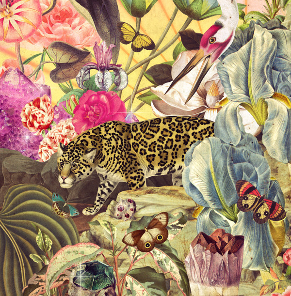 腕表品牌Delaneau花鸟插画