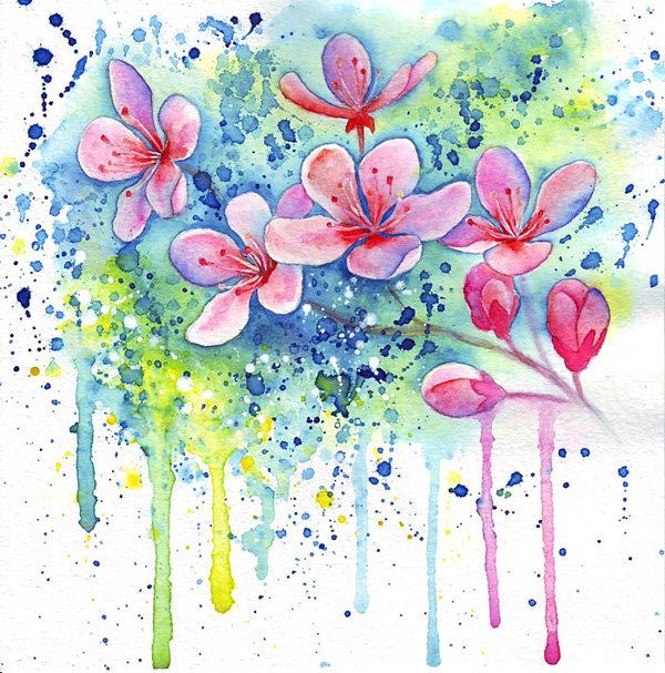 Zhanna Kabina水彩花卉插画