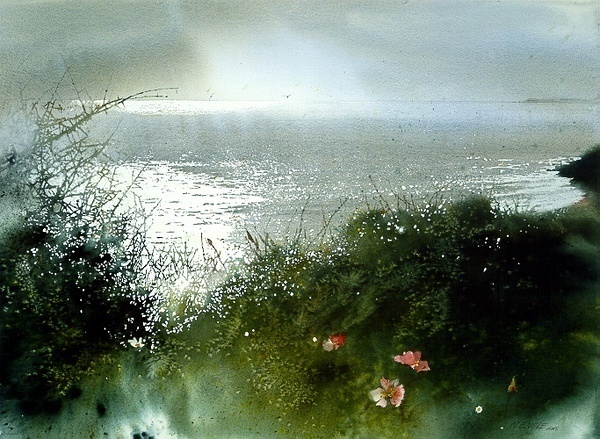 美国Nita Engle水彩插画