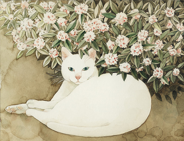 日本插画师Midori Yamada喵星人插画