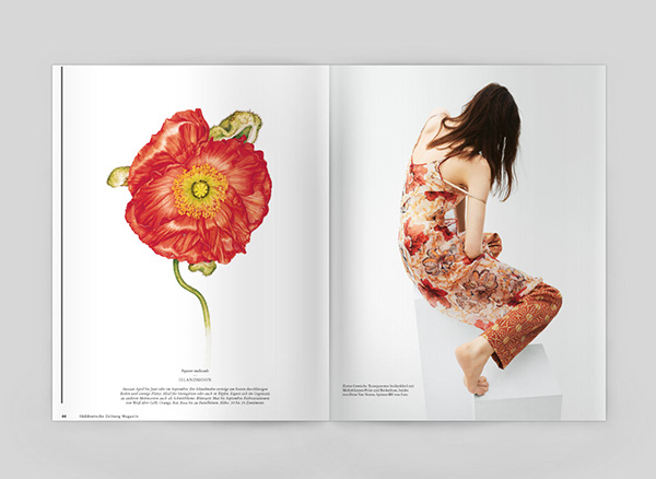 一组水彩画植物插图设计作品