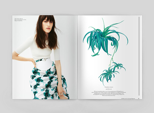 一组水彩画植物插图设计作品