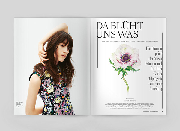 一组水彩画植物插图设计作品