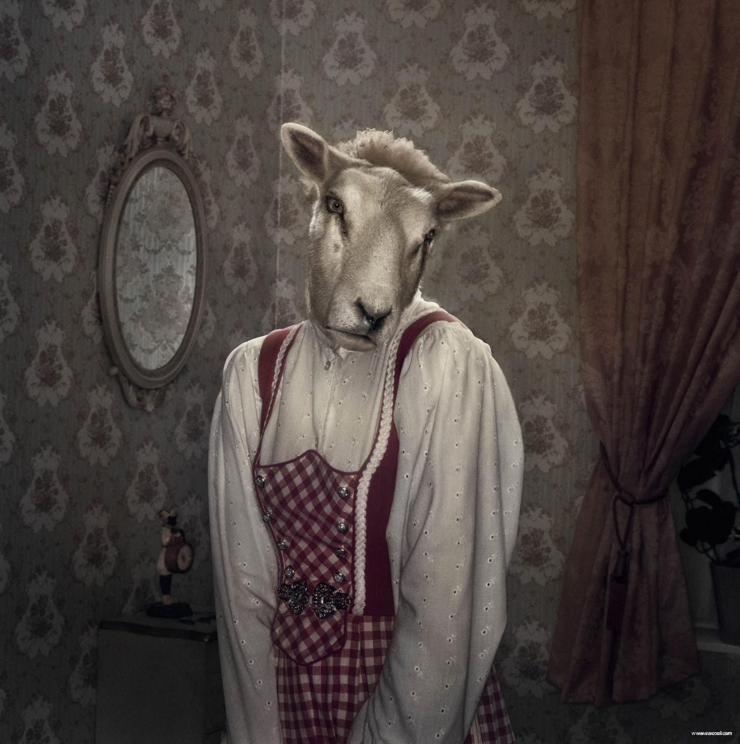 创意艺术摄影欣赏 创意艺术摄影欣赏