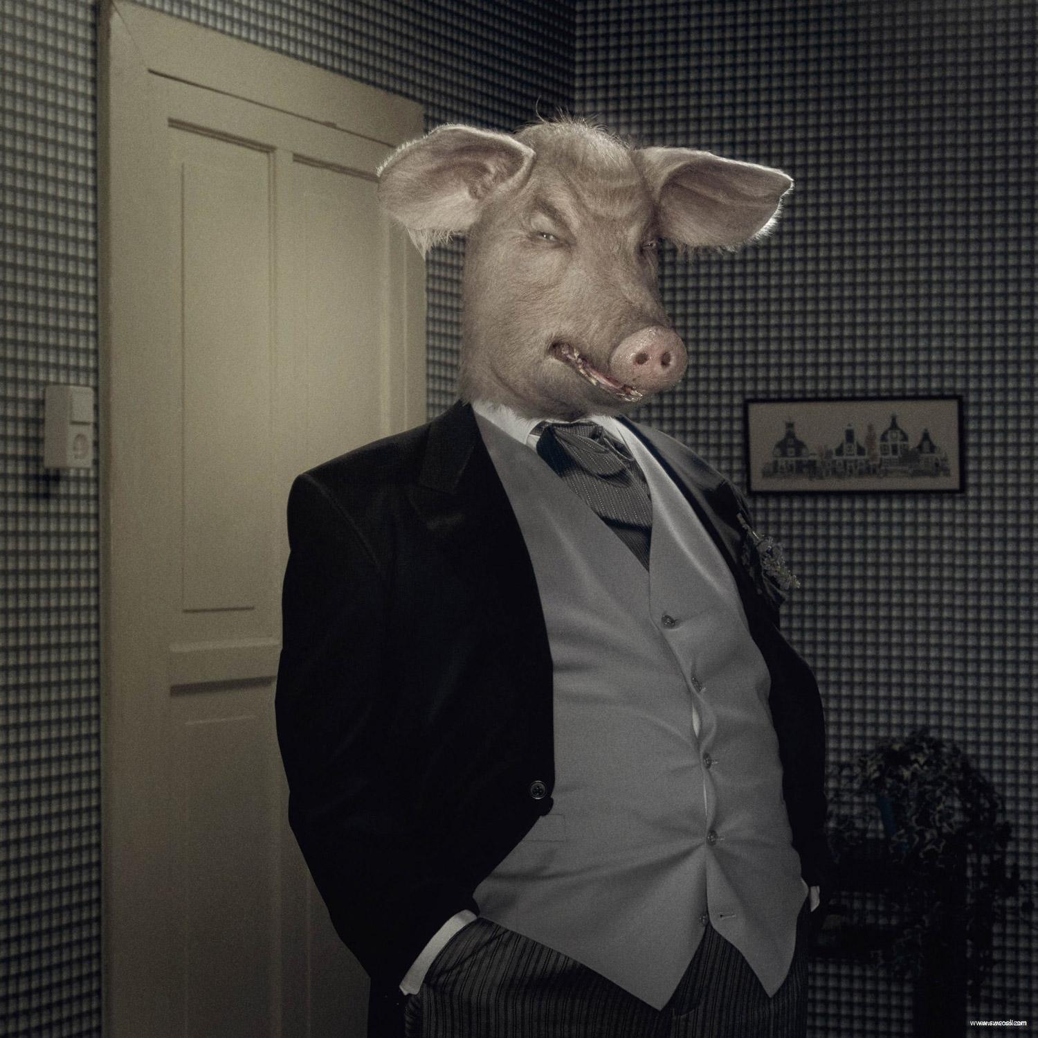 创意艺术摄影欣赏 创意艺术摄影欣赏