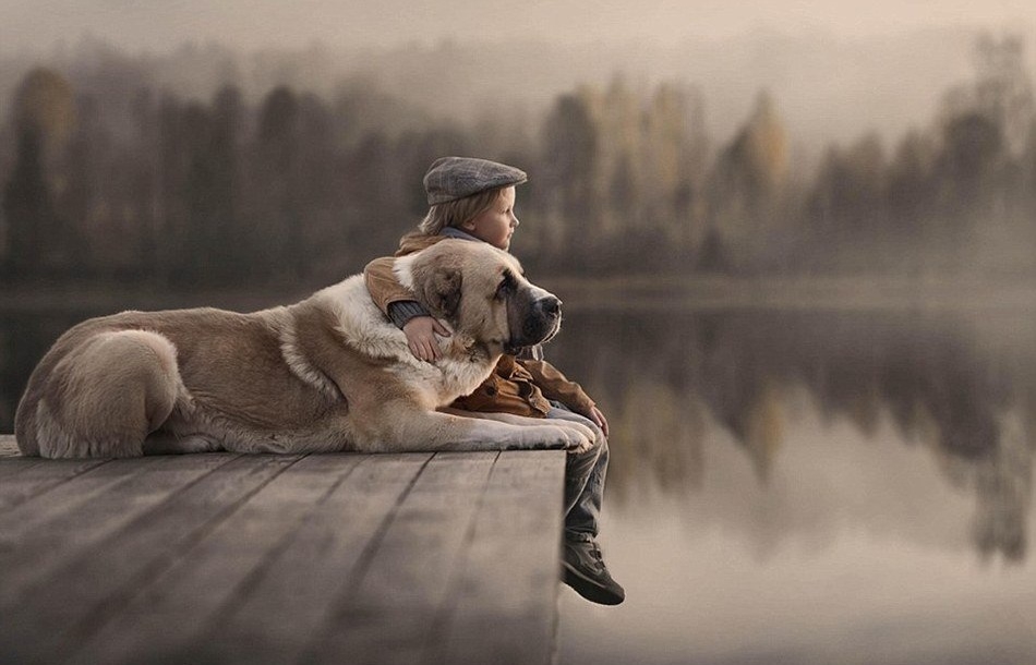 宠物和孩子相伴的温馨艺术摄影