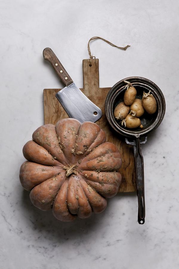 另类的家庭用品摄影